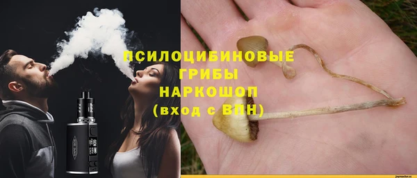 соль ск Яранск