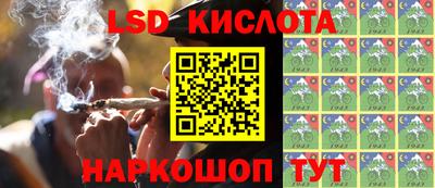 шишки Краснодар