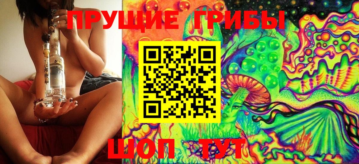 Галлюциногенные грибы Psilocybe Хасавюрт