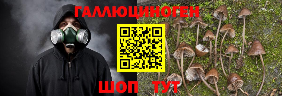 Псилоцибиновые грибы Cubensis  Вход с VPN  Хасавюрт 